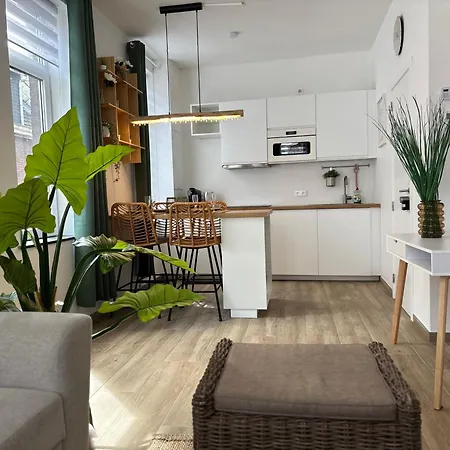 L'ecrin De Tchantches - Outremeuse, Proche De Appartement Luik